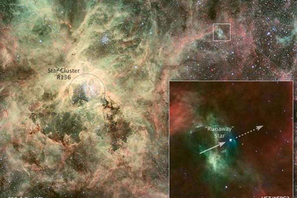 runaway star-cropped-505.jpg