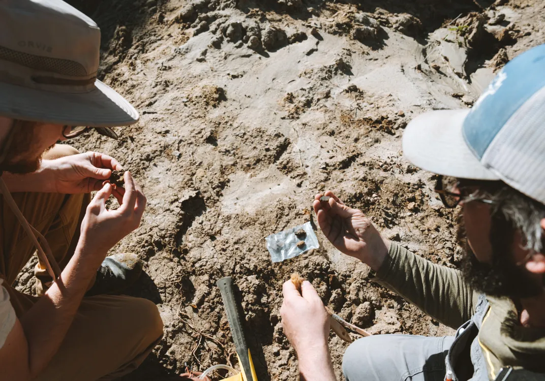 Researchers inspect fossils at a Montana dig site.