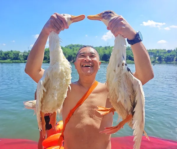 Winning Double Ducks on Loong Boat Festival thumbnail