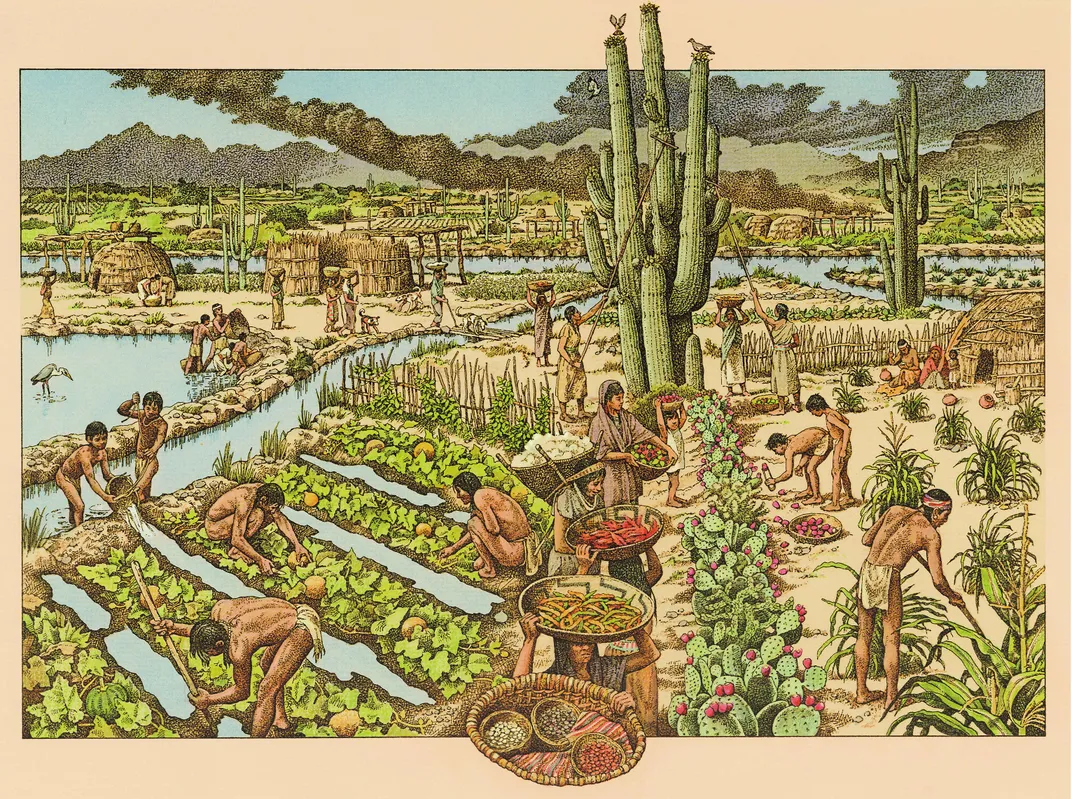 Illustration of Huhugam farmland