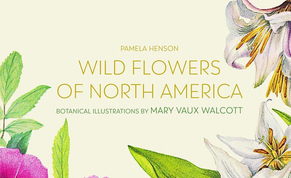Wild Flowers of North America Cover-Header.jpg