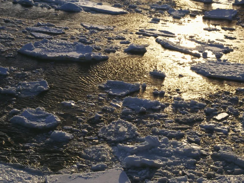 Chunks of ice float in water with a sunset reflecting off the water