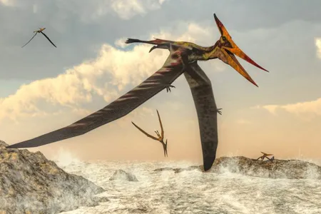 The pterosaurs were flying reptiles that lived in the age of the dinosaurs. This is an artist's illustration of a member of the genus Pteranodon, which included some of the largest known flying reptiles. 

.