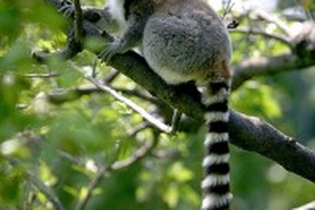201105201024465188959508_56e595a94b-199x300.jpg