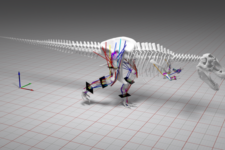 Computer modeling of the stress on a T. rex skeleton showed that the dinosaur couldn't handle running
