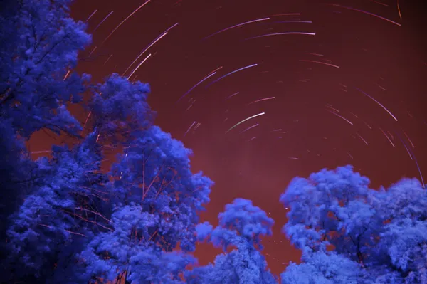 Infrared star trails thumbnail