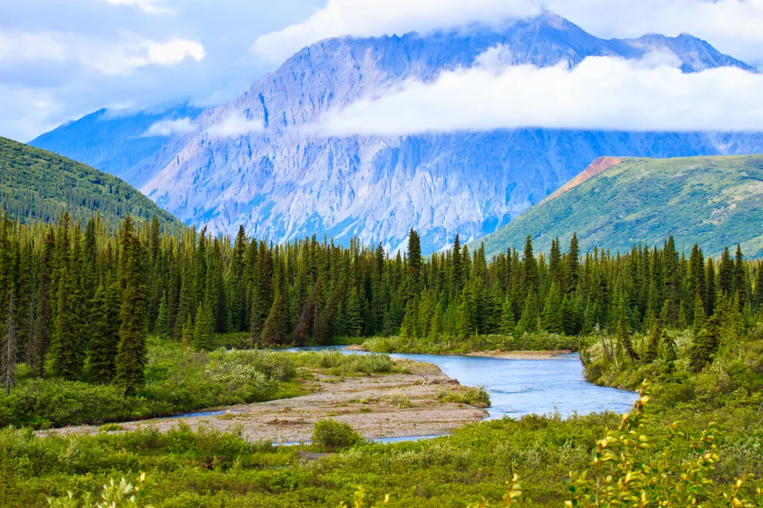 Forests and mountains of Denali National Park