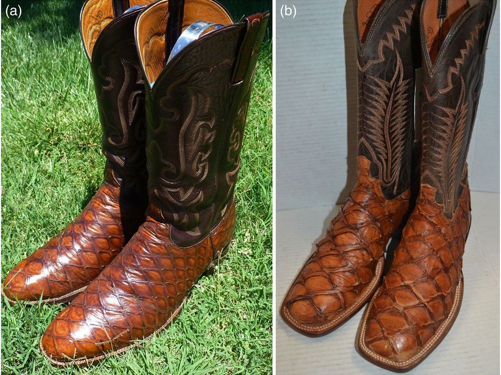 cowboy-boots-exotic-trade.jpg