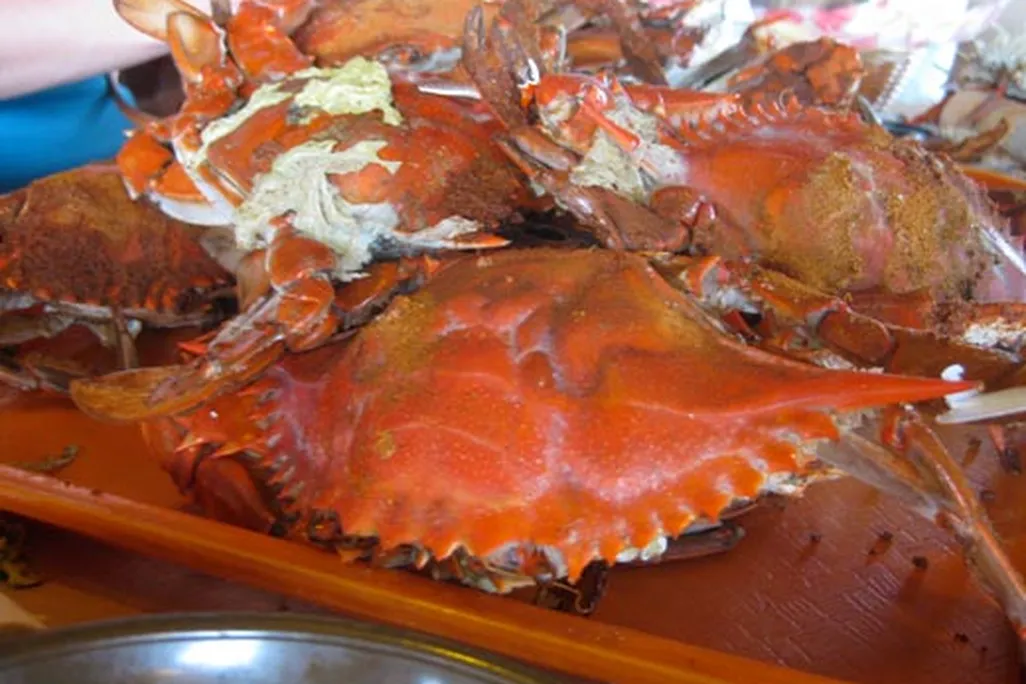 20110520090052oldbay.jpg