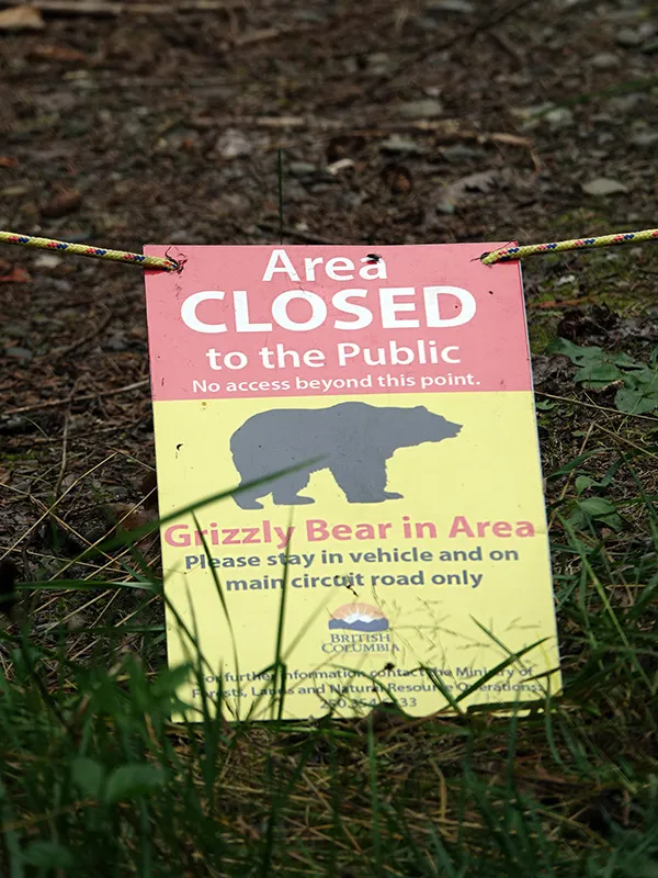 Bear Sign