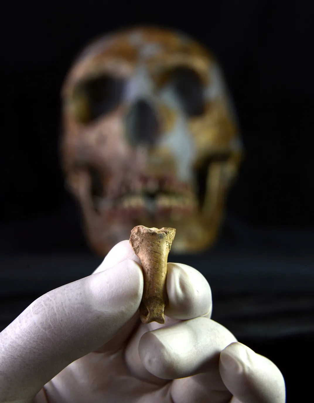 Eagle Talon Jewelry Suggests Neanderthals Were Capable of Human-Like  Thought, Science