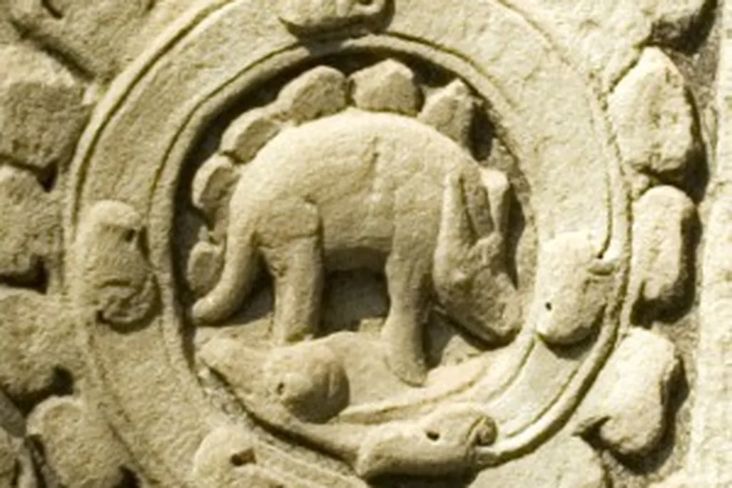 20110520083121temple-stegosaurus-rhinoceros-300x252.jpg