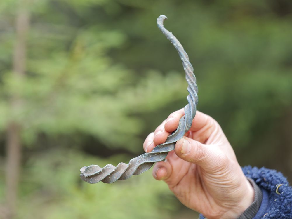 A white hand holds a spiraled, curved object, which looks as though it has been broken in half, in front of green trees