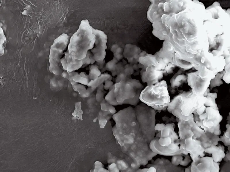 An electron microscope image of titanium  white from Incan qeros.