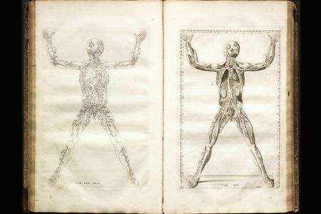 Tabulae Anatomicae Clarissimi Viri..., Bartolomeo Eustachi, 1722
