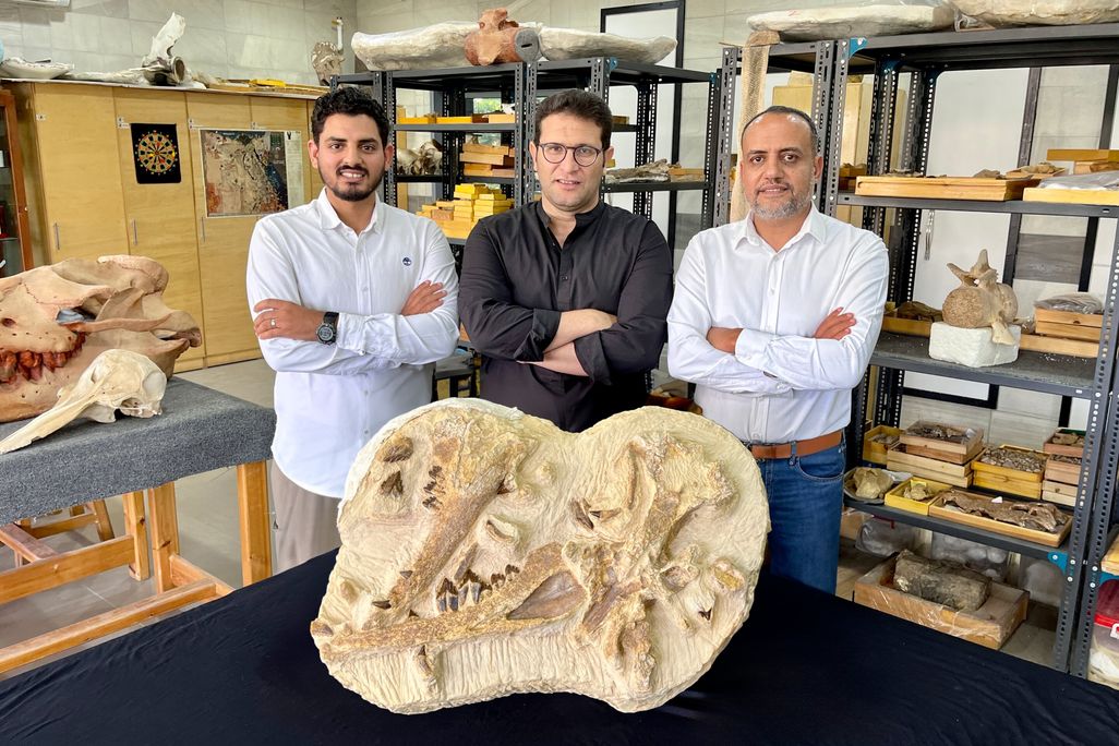 three researchers stand smiling, arms crossed over their chests, behind the whale fossil