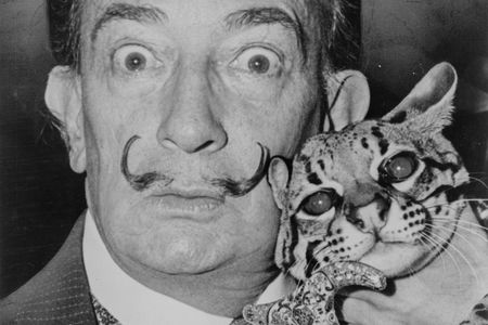 Salvador Dalí with his pet ocelot, Babou, and cane. 1965.