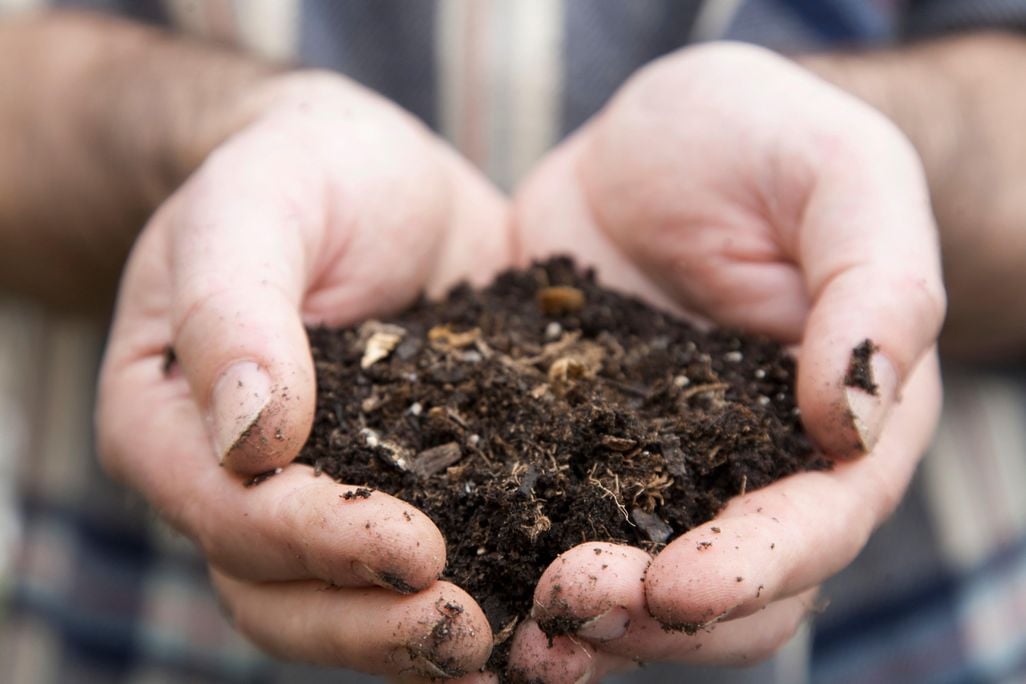 Soil in Hand