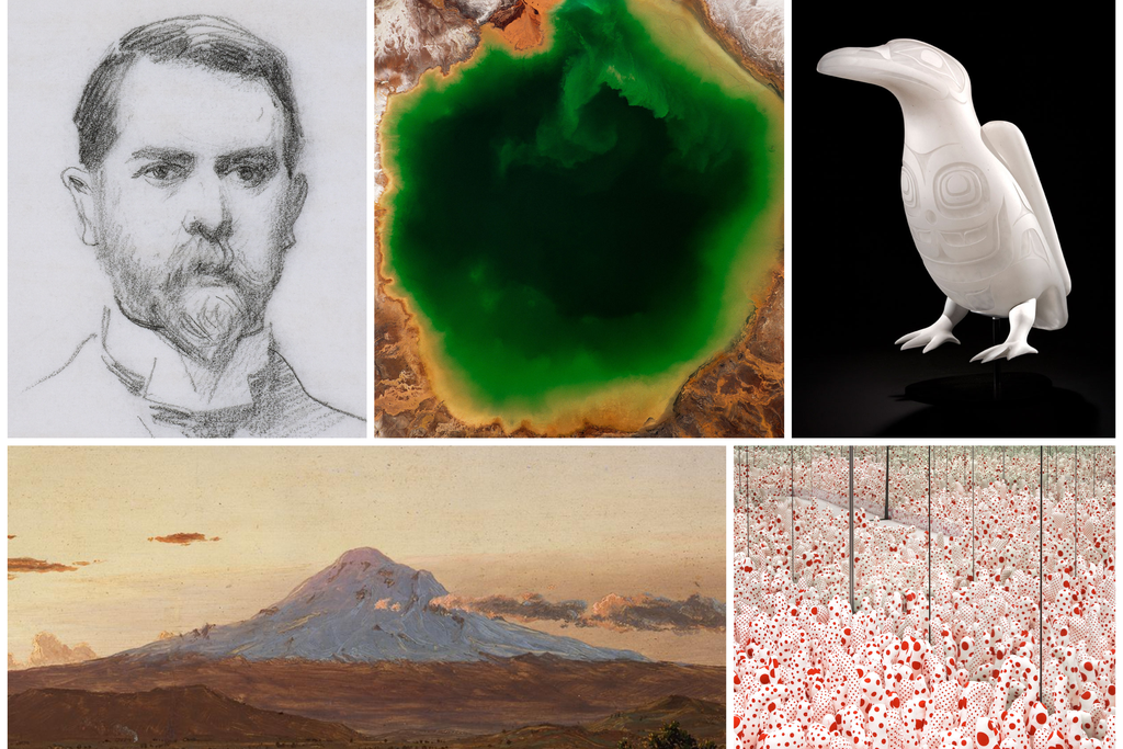 Photo collage of 2020 exhibitions