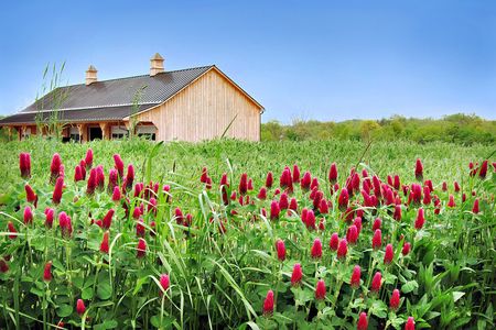 Willowsford is the first neighborhood to take Development Supported Agriculture mainstream. 