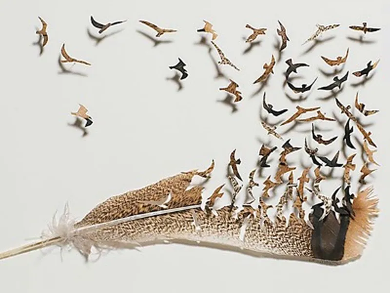 Beautiful Artwork Cut Out of Feathers, Science