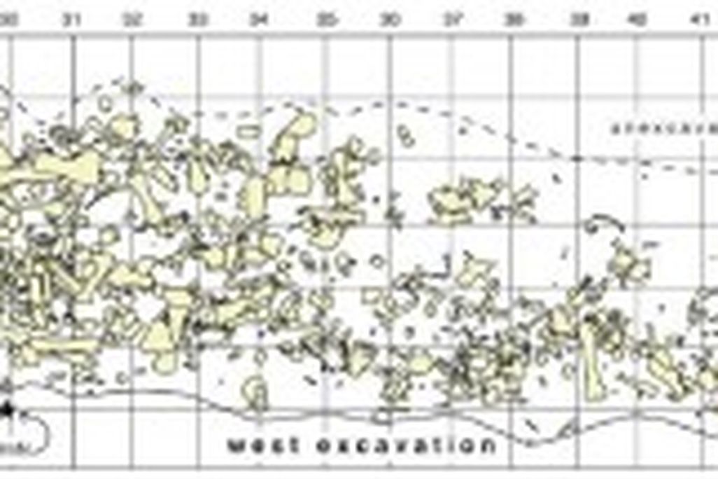 20110520083153bonebed-excavation-300x107.jpg