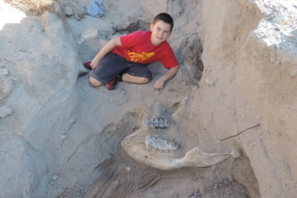 Jude_Sparks_Stegomastodon.jpg
