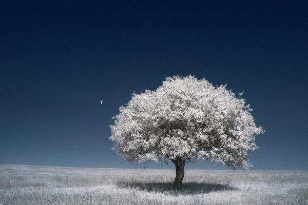 Bilge & Bayağı thumbnail