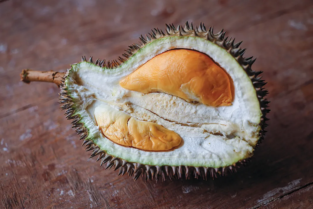 the white sac of durian fruit cradles the pulp