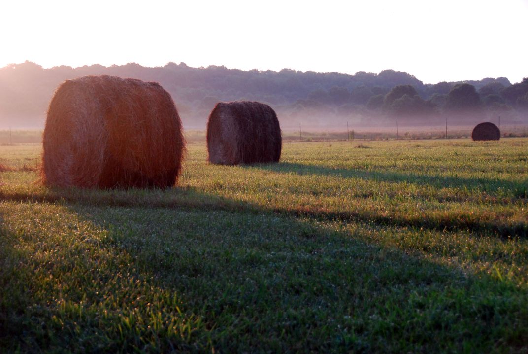 Farmland in New Jersey even more beautiful with a misty