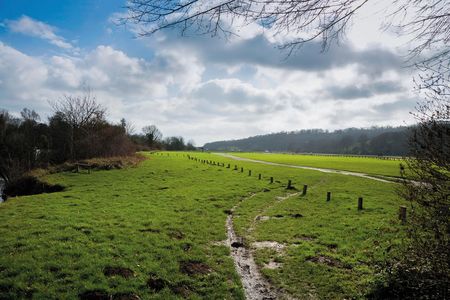 Runnymede meadow in Surrey, England, is the site of historic Magna Carta negotiations.
