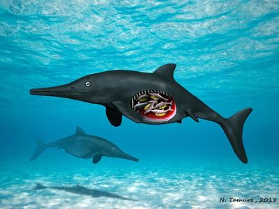 Illustration of pregnant ichthyosaur with octuplets.