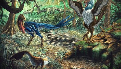 Newly Discovered, Parrot-Like Dinosaur Roamed North America Alongside T. Rex