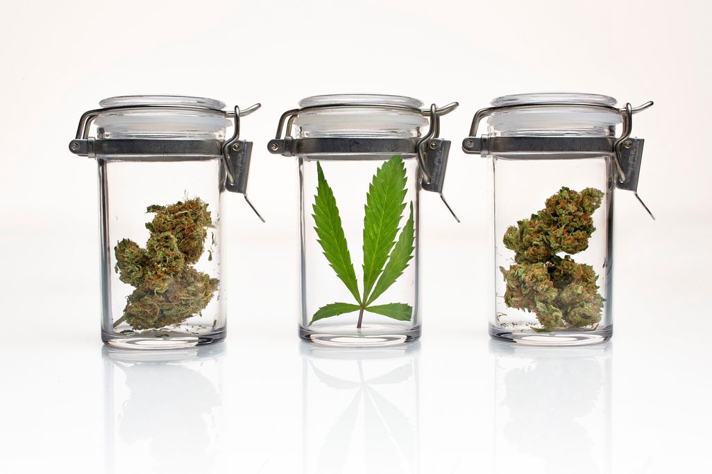 Medicinal Marijuana
