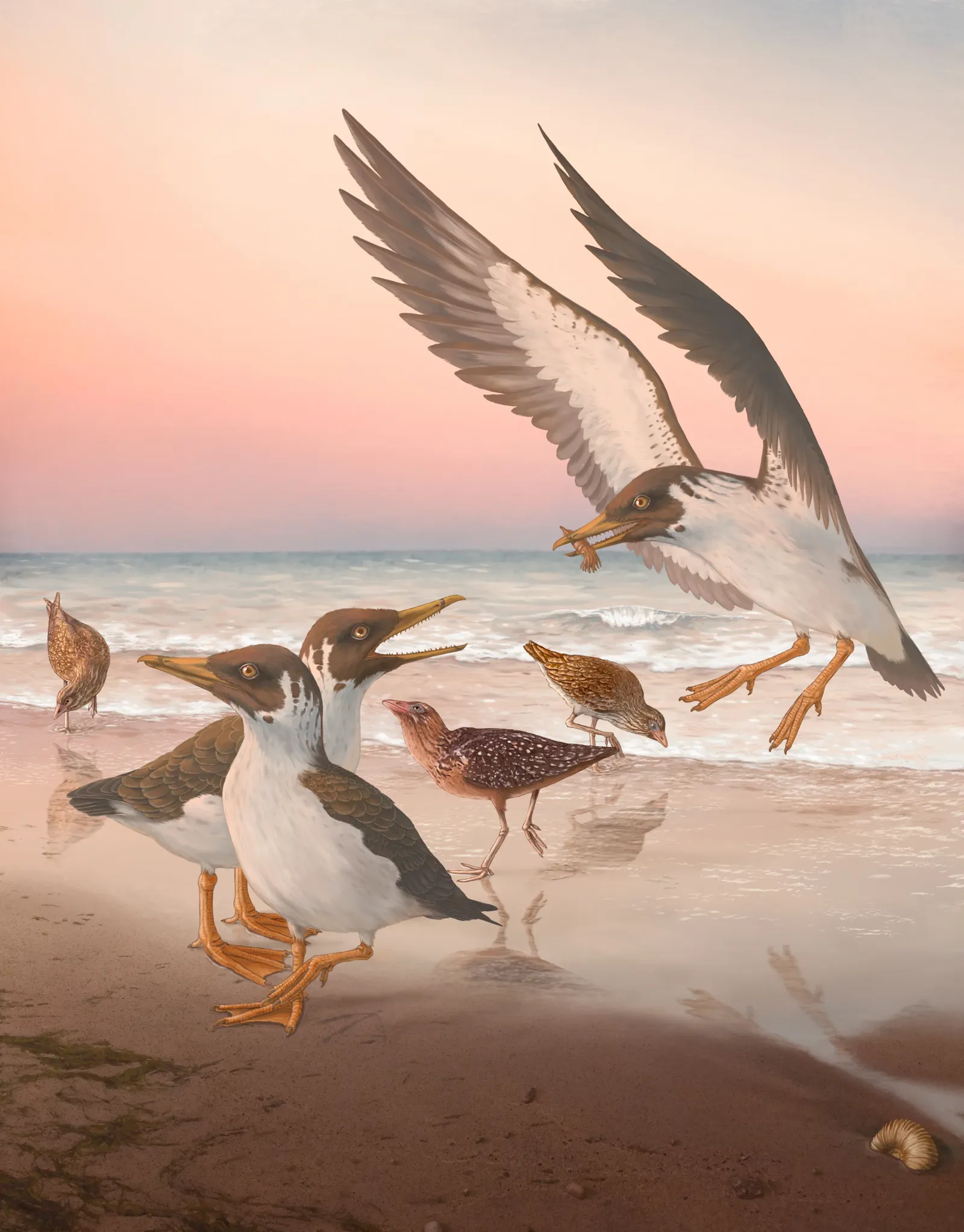 How a 67-Million-Year-Old Fossil Turned the Theory of Bird Evolution Upside-Down