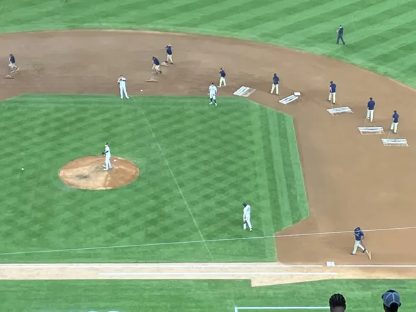 Sweeping The Field Clean.  Apple iPhone SE (3rd Generation) thumbnail