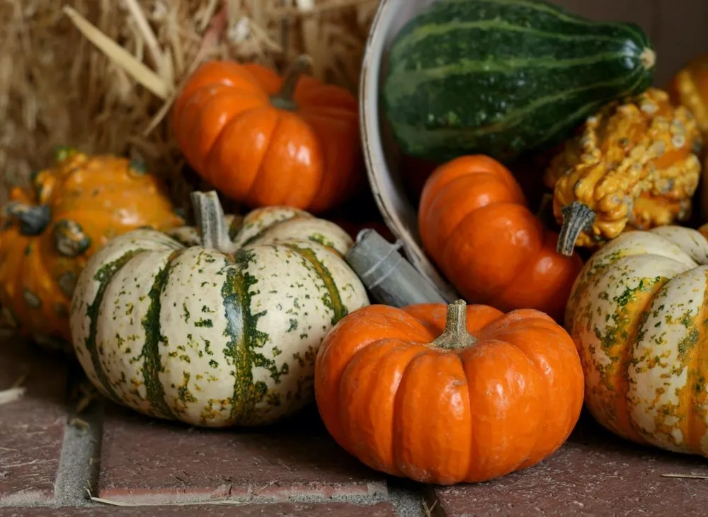 A pile of gourds spilling out of a tipped over container onto a brick floor with a bale of straw in the background.