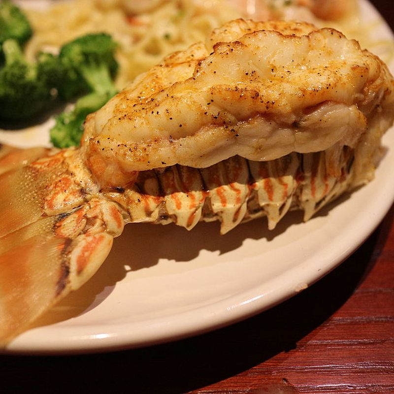 Rock Lobster From a Farm Could Soon Be Coming To a Menu Near You |  Innovation| Smithsonian Magazine