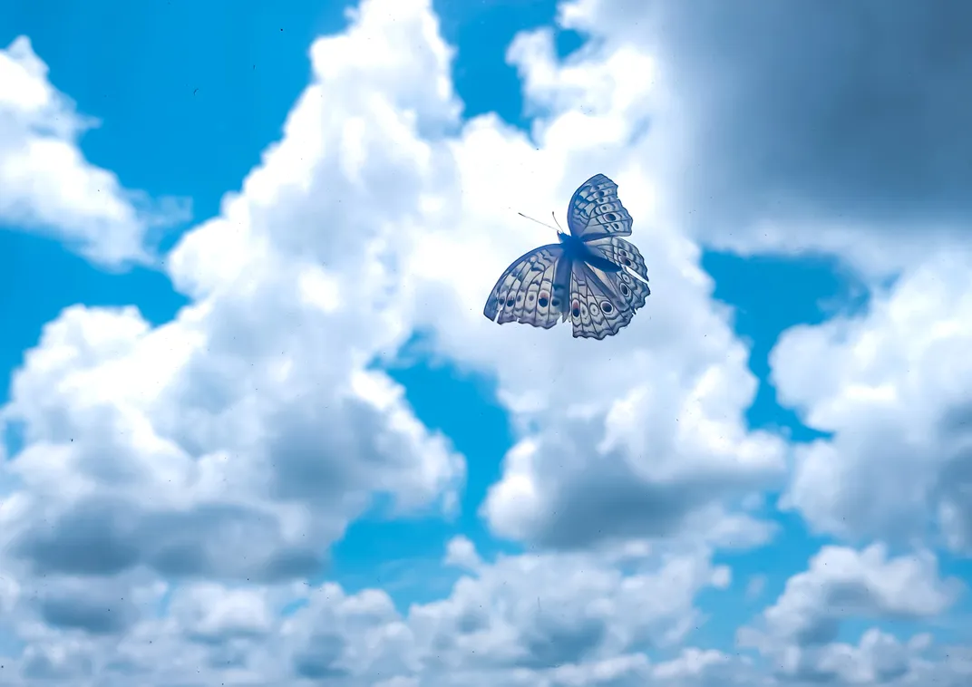 cerulean sky