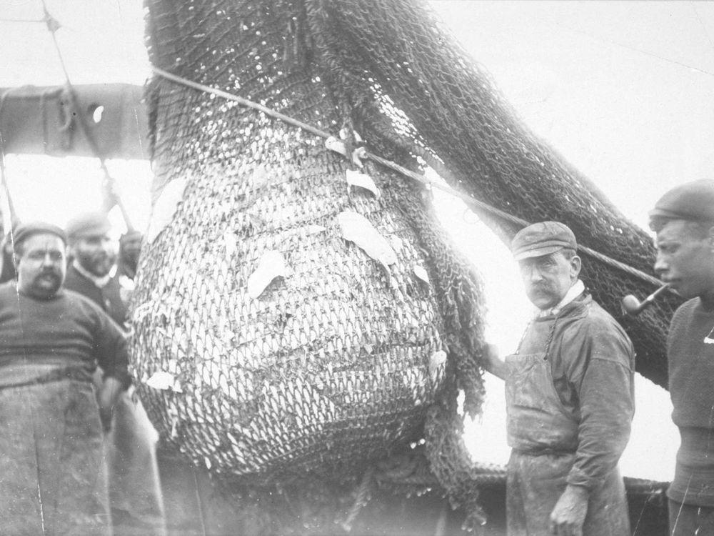Fishing Net From the 1890s