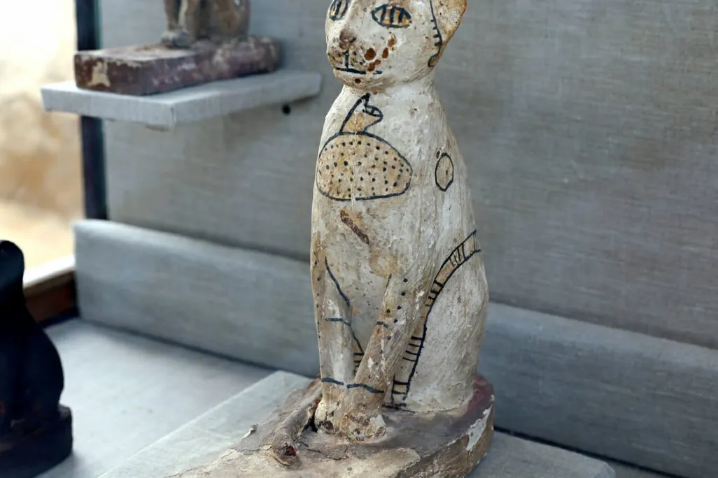 Cat Mummies