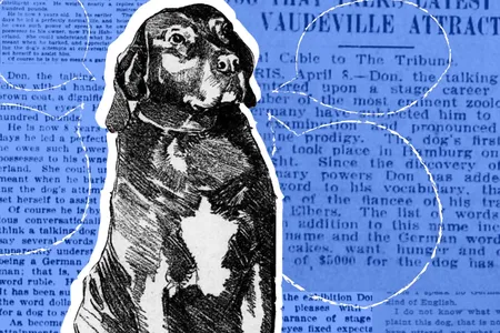Don the Talking Dog was a vaudeville hit.