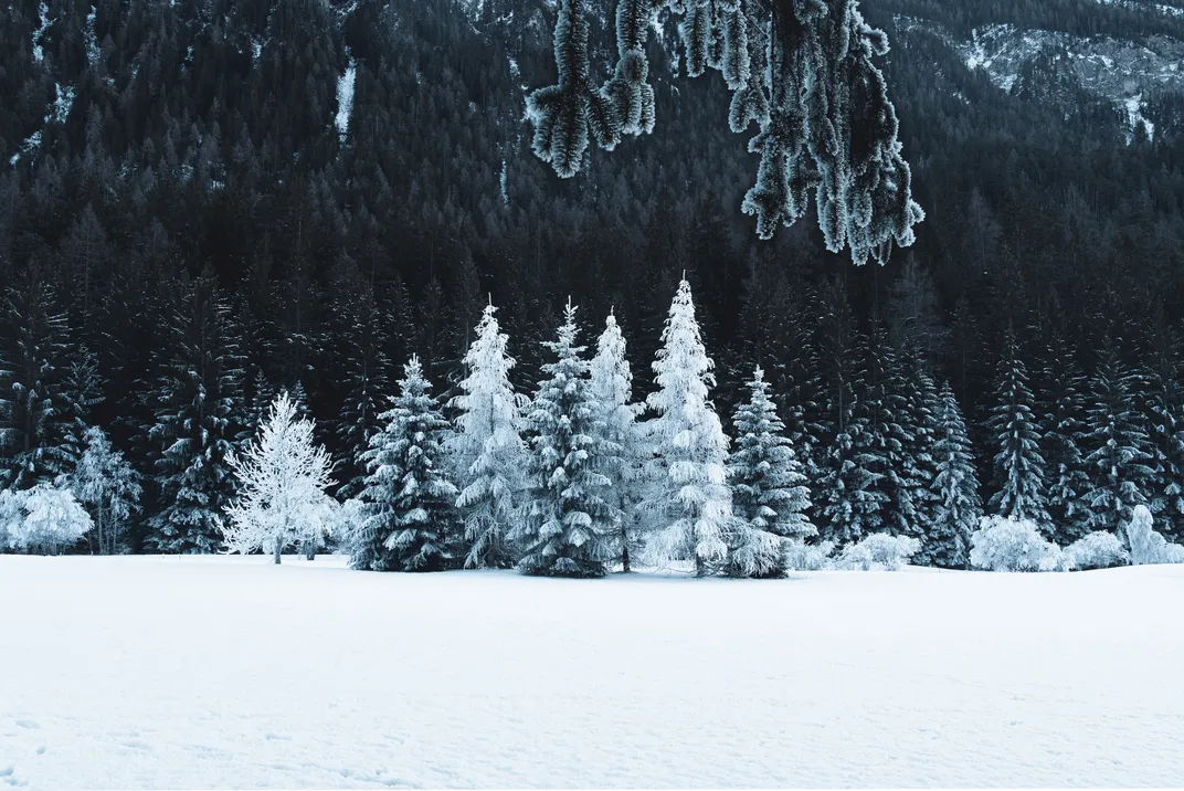 snow globe