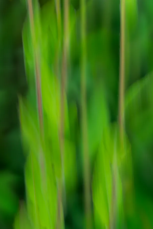 Mette Klint Artistic 2-3 thumbnail