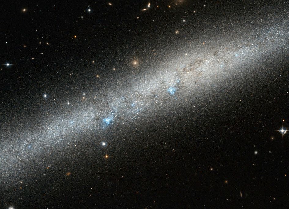 20130308_youngstars_main.jpg
