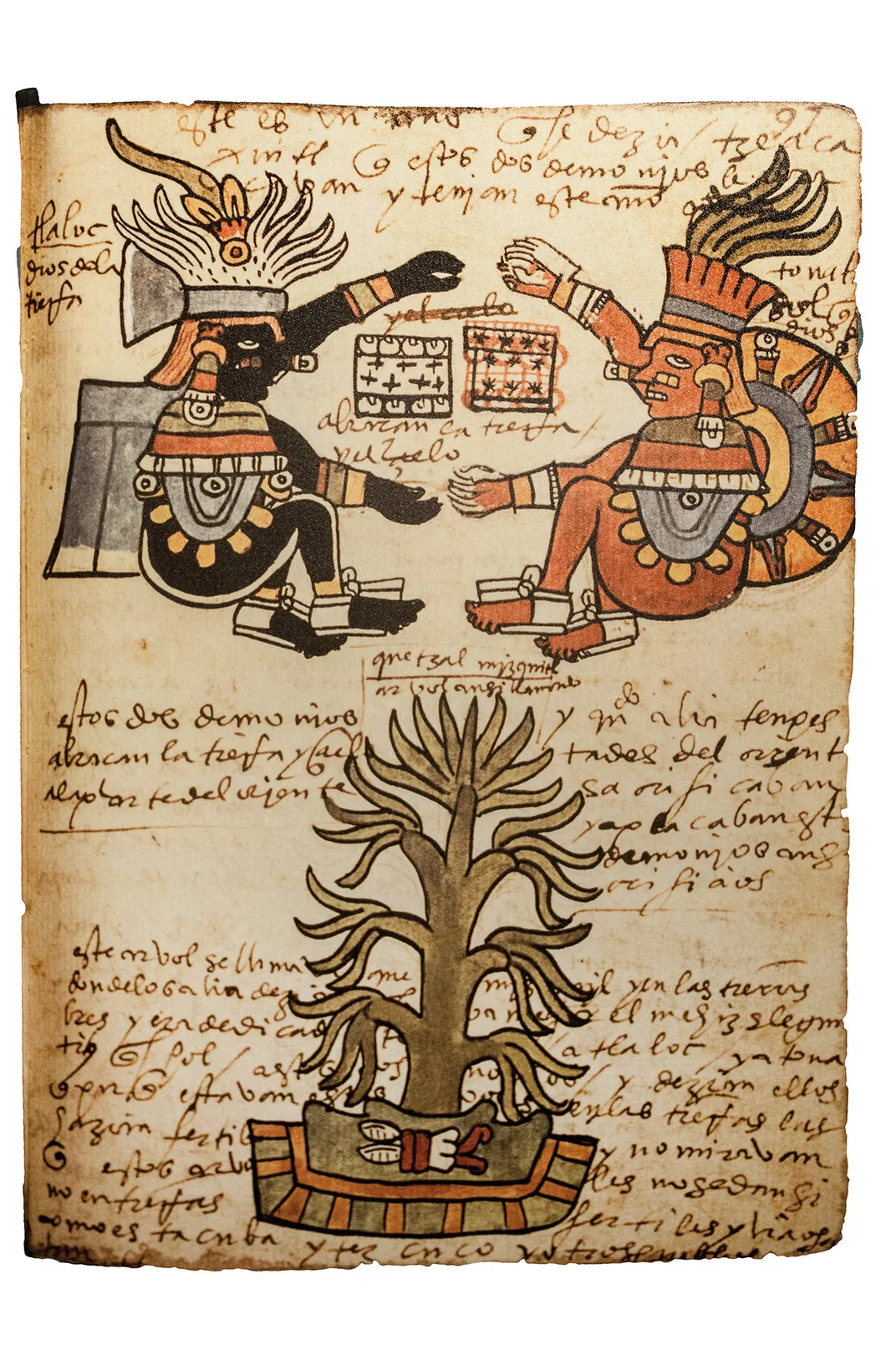 Codex Tudela