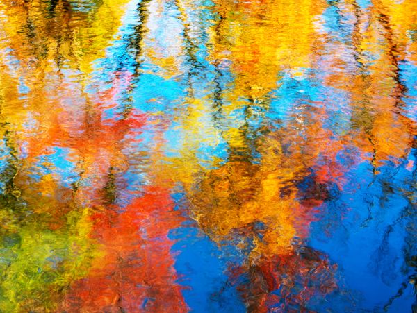 Autumn Trees Reflected in Ripples on Water thumbnail