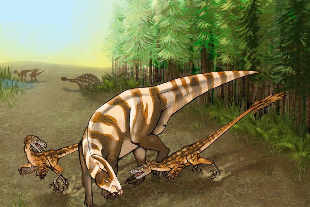 Saurornitholestes sullivani