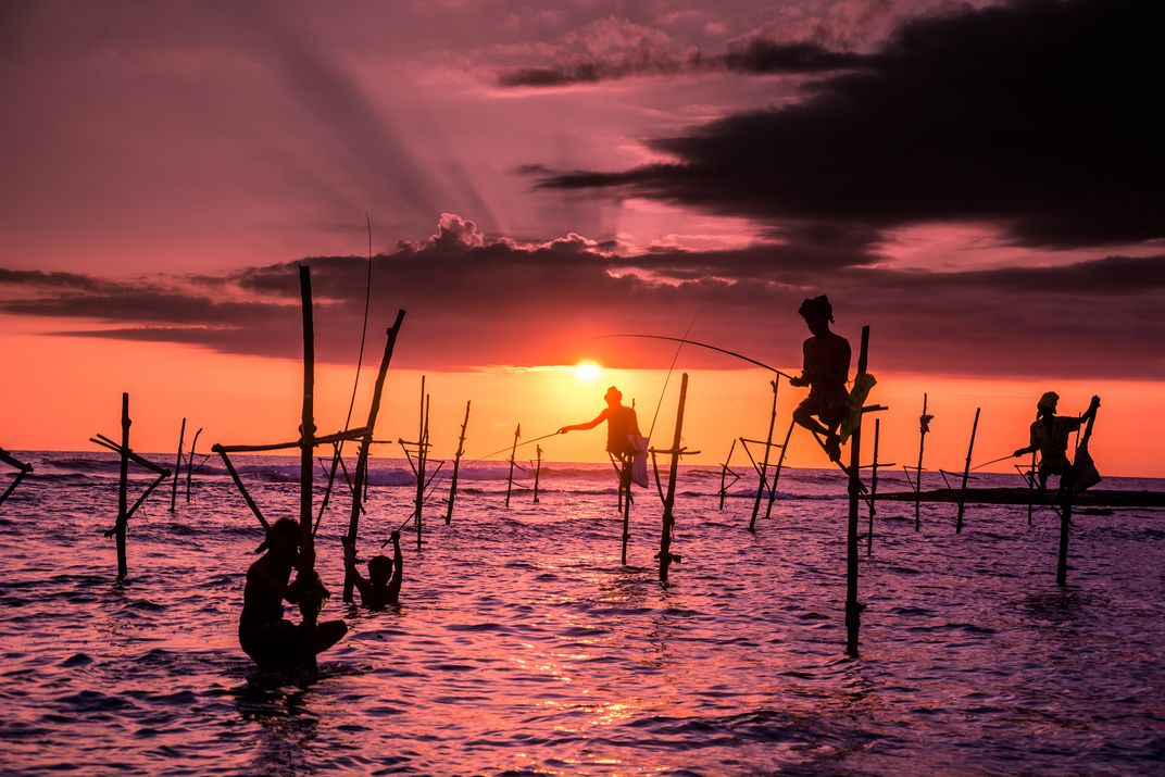 Traditional Sri Lankan stilt fisherman at sunset