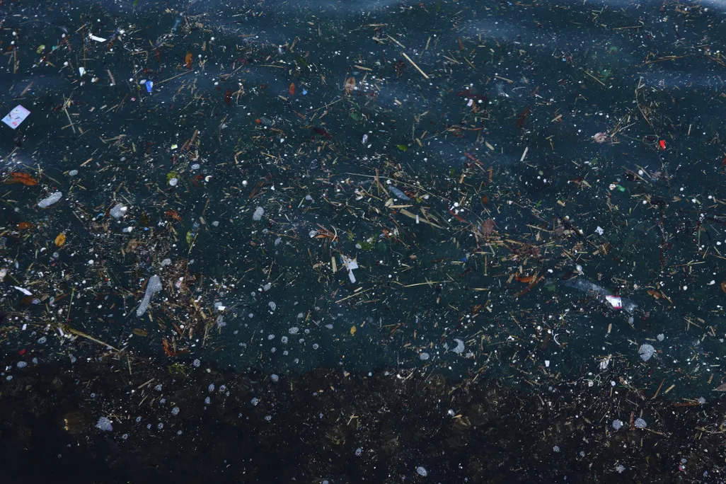 Garbage on the surface of the sea